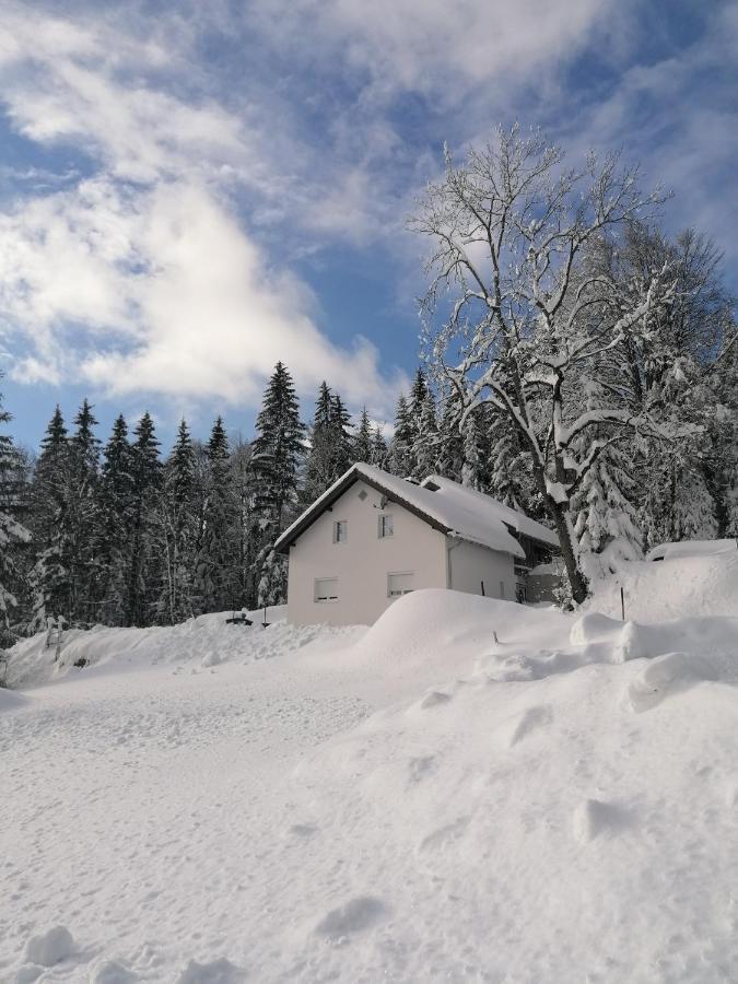 Ferienhaus Ploeckenstein Schwarzenberg am Bohmerwald Ngoại thất bức ảnh