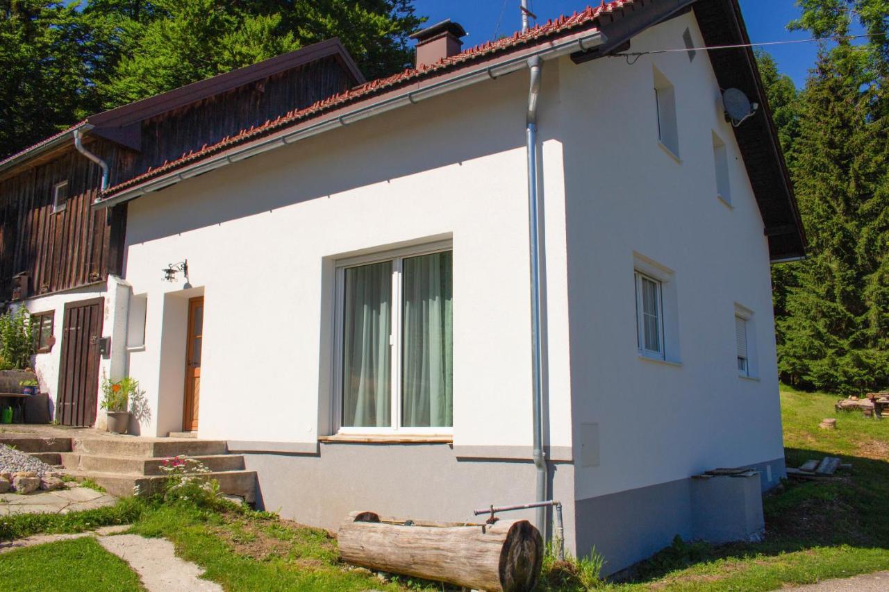 Ferienhaus Ploeckenstein Schwarzenberg am Bohmerwald Ngoại thất bức ảnh