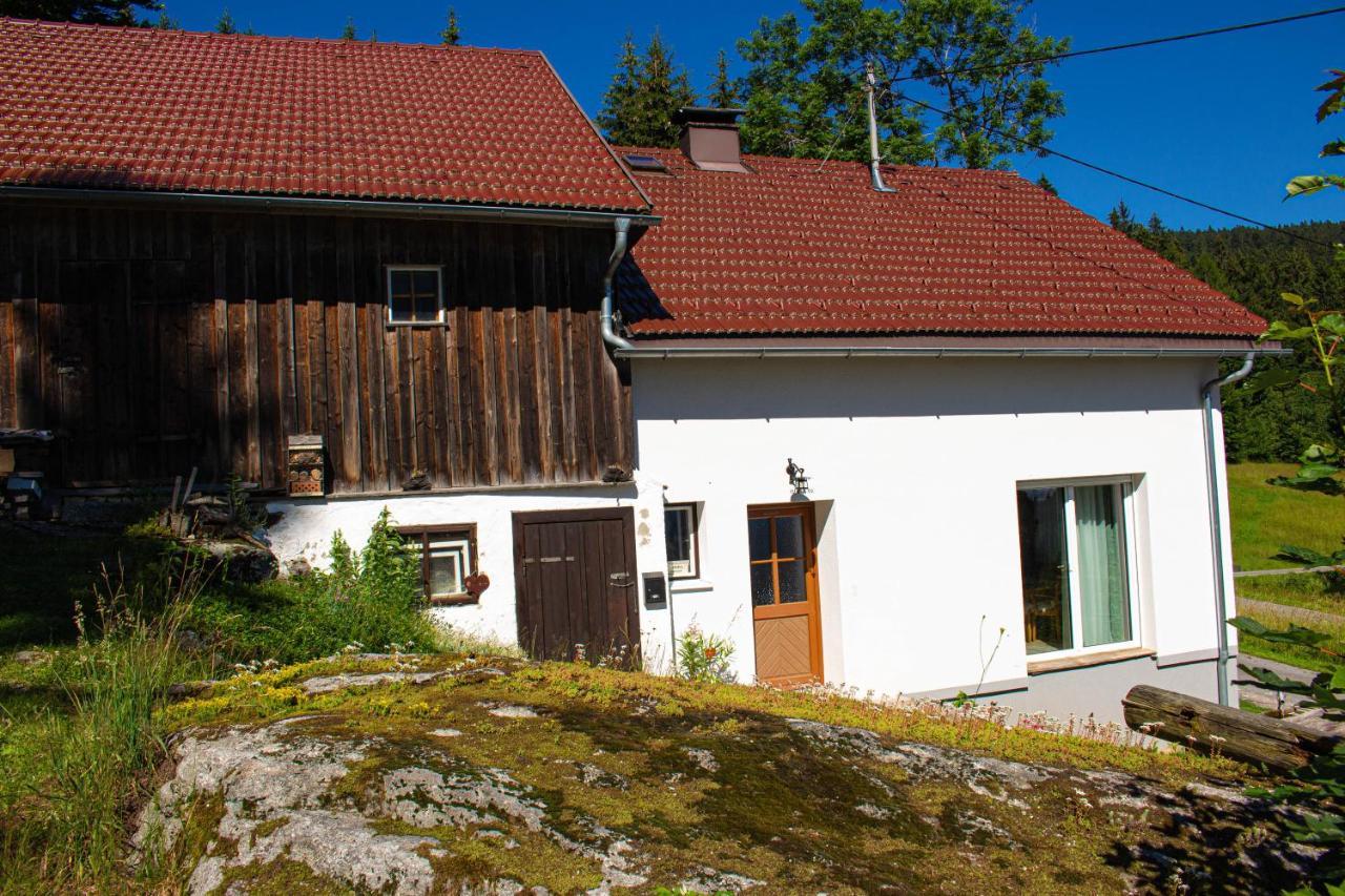 Ferienhaus Ploeckenstein Schwarzenberg am Bohmerwald Ngoại thất bức ảnh