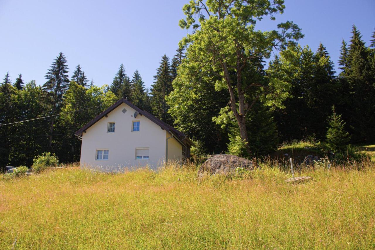 Ferienhaus Ploeckenstein Schwarzenberg am Bohmerwald Ngoại thất bức ảnh