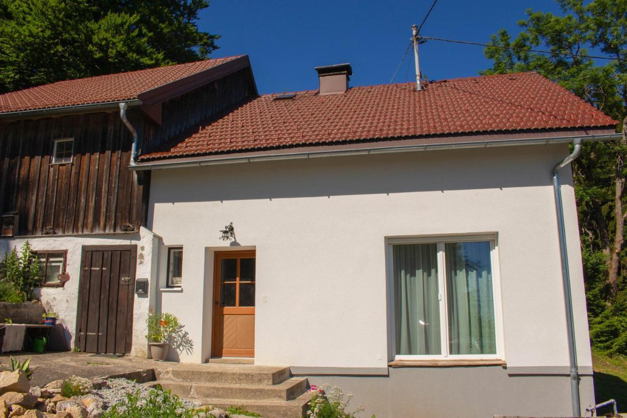 Ferienhaus Ploeckenstein Schwarzenberg am Bohmerwald Ngoại thất bức ảnh